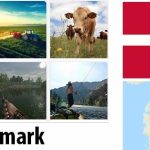 Denmark Agriculture and Fishing Overview