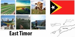 East Timor Agriculture and Fishing