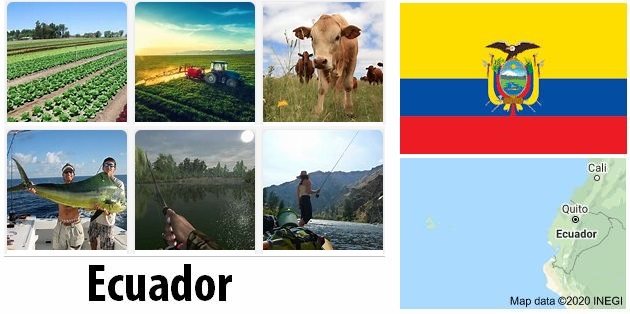 Ecuador Agriculture and Fishing