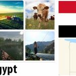 Egypt Agriculture and Fishing Overview