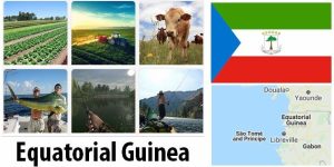 Equatorial Guinea Agriculture and Fishing