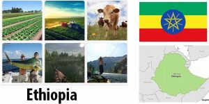 Ethiopia Agriculture and Fishing