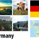 Germany Agriculture and Fishing Overview