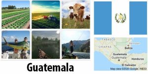 Guatemala Agriculture and Fishing