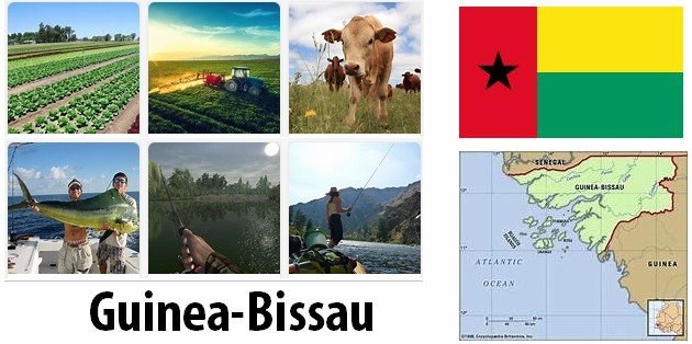 Guinea-Bissau Agriculture and Fishing