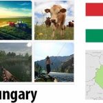 Hungary Agriculture and Fishing Overview