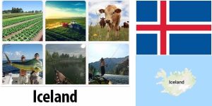 Iceland Agriculture and Fishing