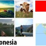 Indonesia Agriculture and Fishing Overview