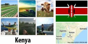 Kenya Agriculture and Fishing