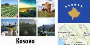 Kosovo Agriculture and Fishing