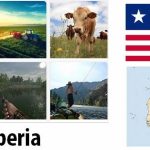 Liberia Agriculture and Fishing Overview