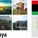 Libya Agriculture and Fishing Overview