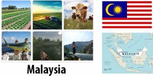 Malaysia Agriculture and Fishing