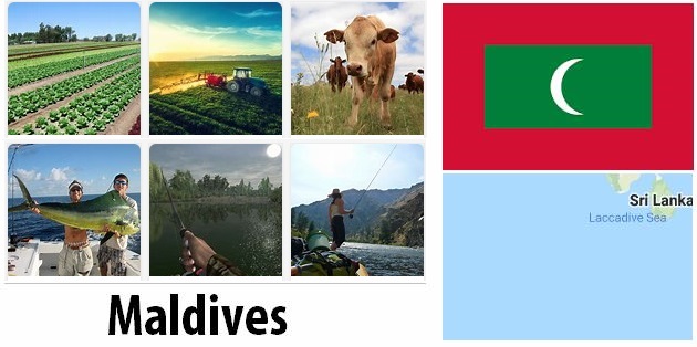 Maldives Agriculture and Fishing