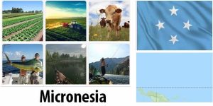 Micronesia Agriculture and Fishing