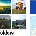 Moldova Agriculture and Fishing Overview