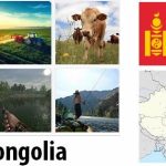 Mongolia Agriculture and Fishing Overview