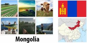 Mongolia Agriculture and Fishing