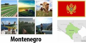 Montenegro Agriculture and Fishing