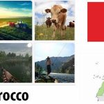 Morocco Agriculture and Fishing Overview