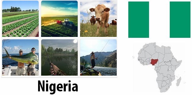 Nigeria Agriculture and Fishing