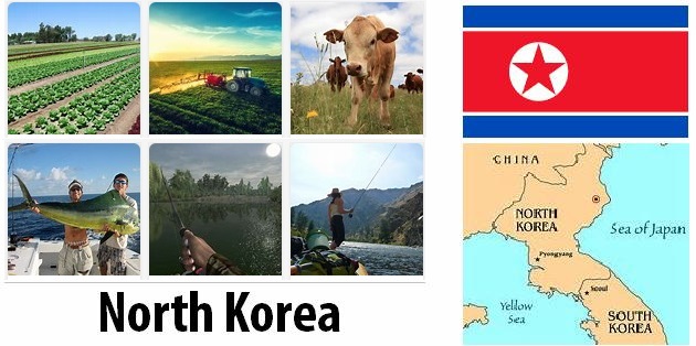 North Korea Agriculture and Fishing
