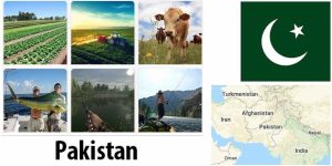 Pakistan Agriculture and Fishing