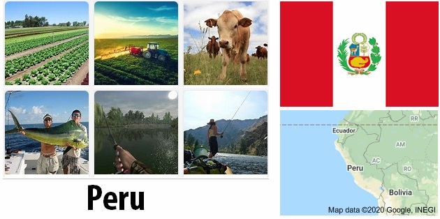 Peru Agriculture and Fishing