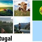 Portugal Agriculture and Fishing Overview