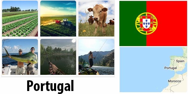 Portugal Agriculture and Fishing