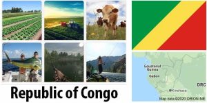 Republic of the Congo Agriculture and Fishing