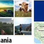 Romania Agriculture and Fishing Overview