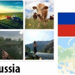 Russia Agriculture and Fishing Overview