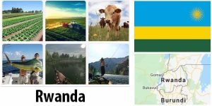 Rwanda Agriculture and Fishing
