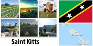 Saint Kitts and Nevis Agriculture and Fishing