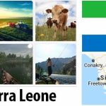 Sierra Leone Agriculture and Fishing Overview