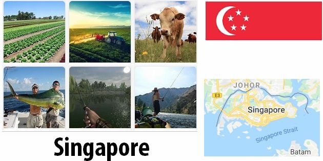 Singapore Agriculture and Fishing