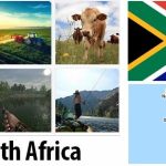 South Africa Agriculture and Fishing Overview