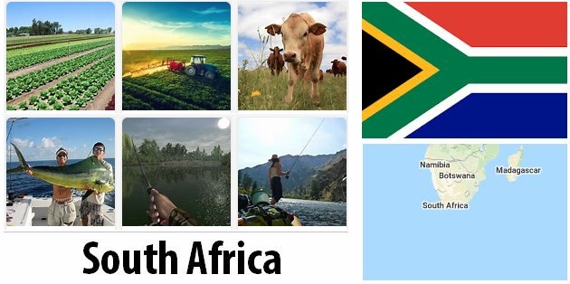 South Africa Agriculture and Fishing