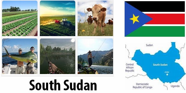 South Sudan Agriculture and Fishing