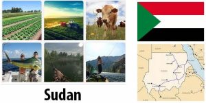 Sudan Agriculture and Fishing