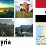 Syria Agriculture and Fishing Overview