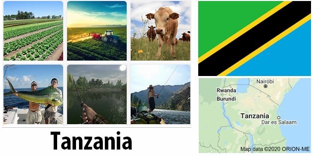 Tanzania Agriculture and Fishing