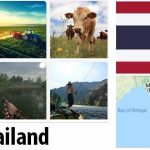 Thailand Agriculture and Fishing Overview