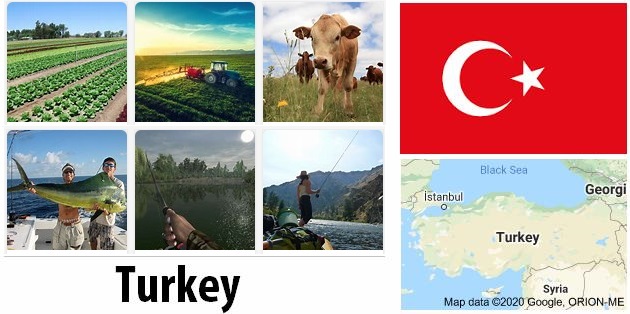 Turkey Agriculture and Fishing
