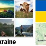 Ukraine Agriculture and Fishing Overview