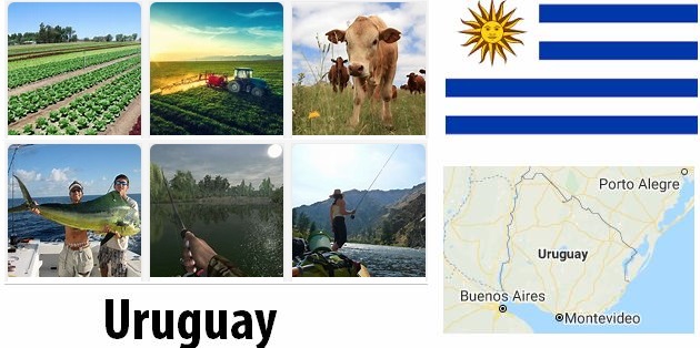 Uruguay Agriculture and Fishing