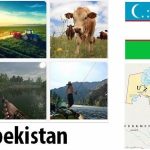 Uzbekistan Agriculture and Fishing Overview