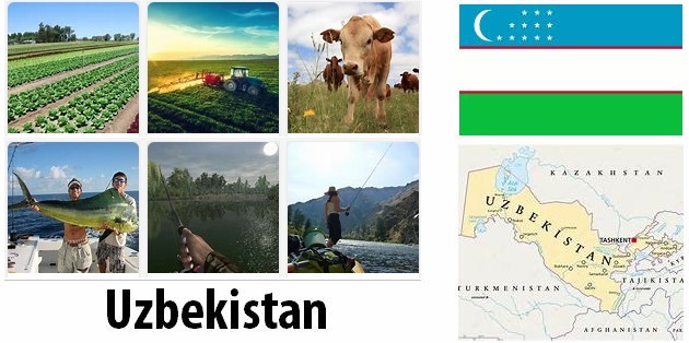 Uzbekistan Agriculture and Fishing
