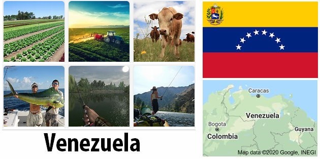 Venezuela Agriculture and Fishing